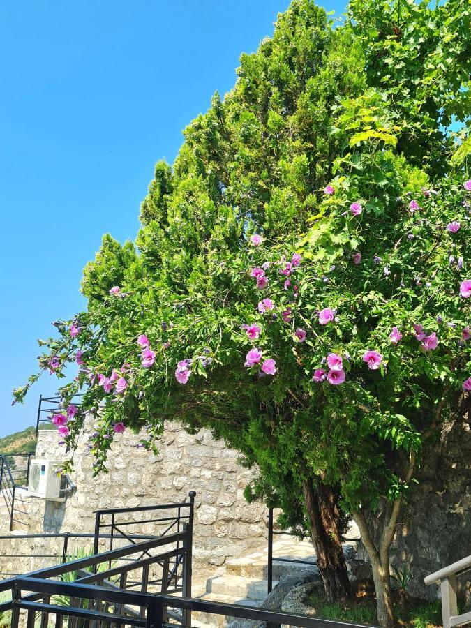 Villa Nera บุดวา ภายนอก รูปภาพ