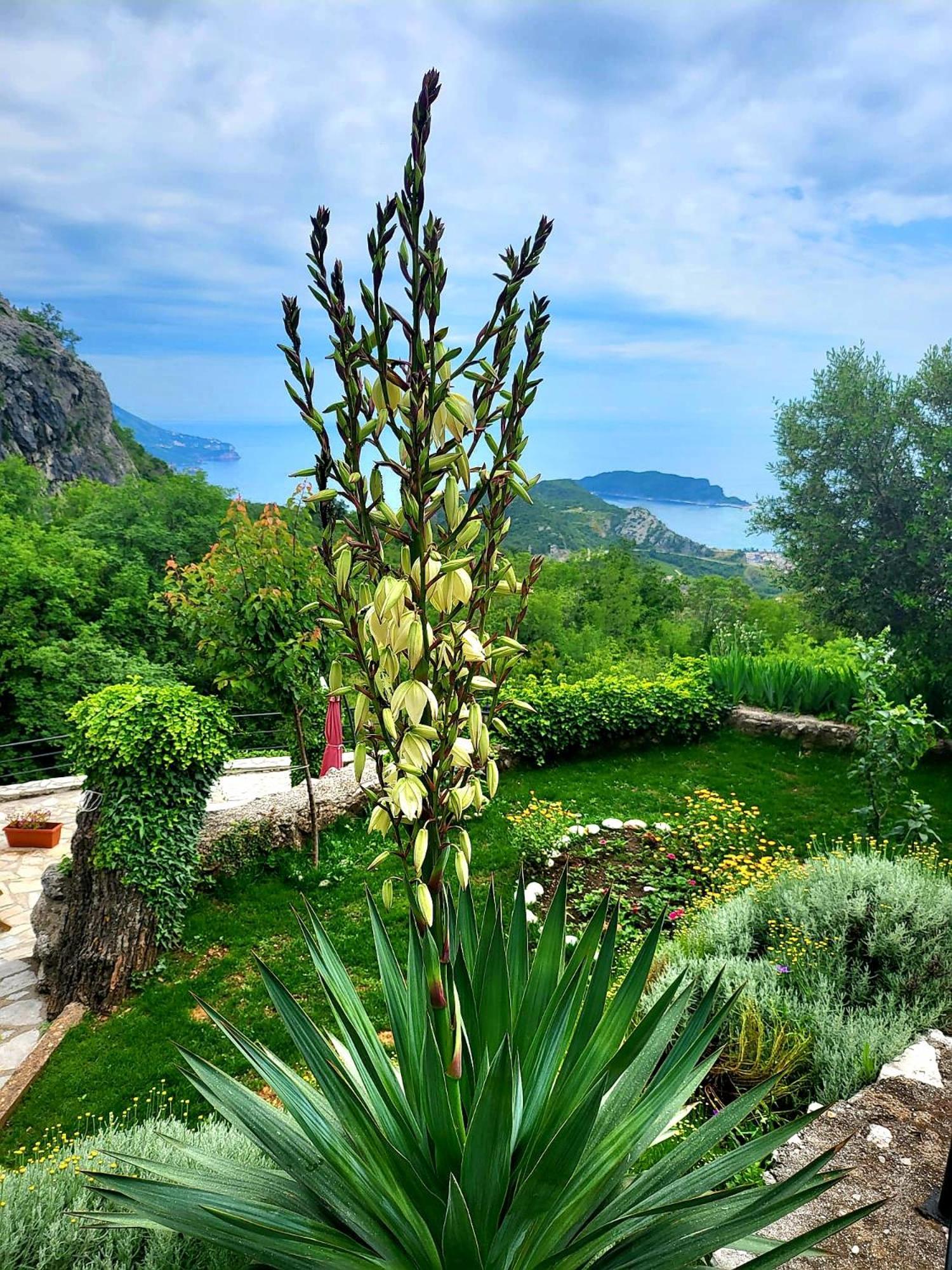 Villa Nera บุดวา ภายนอก รูปภาพ