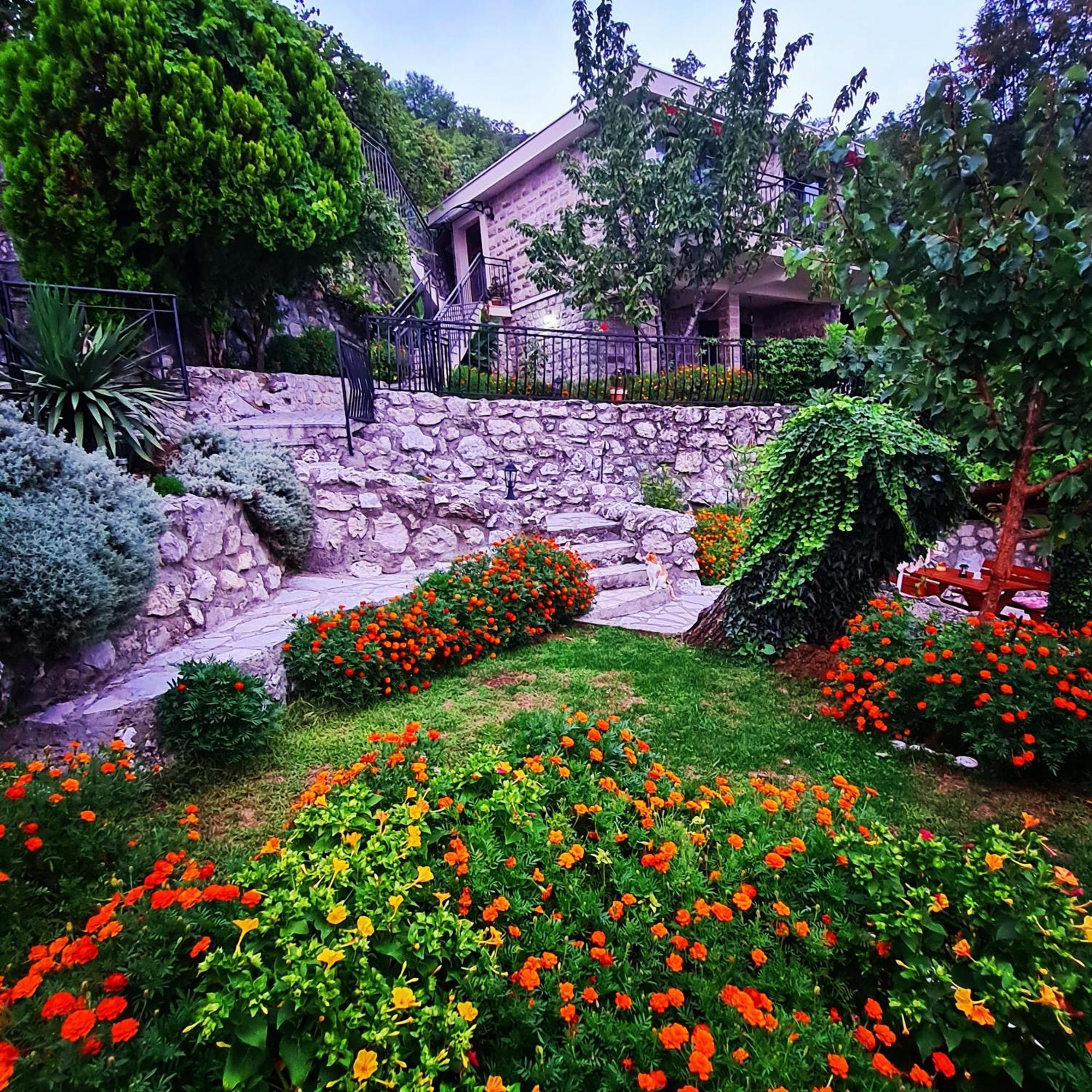 Villa Nera บุดวา ภายนอก รูปภาพ